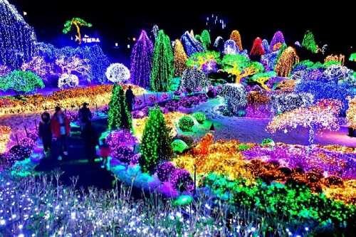 7N8D WONDERFUL WINTER KOREA JEJU NAMI MT. SORAK BUSAN 7N8D WONDERFUL WINTER KOREA JEJU NAMI MT. SORAK BUSAN